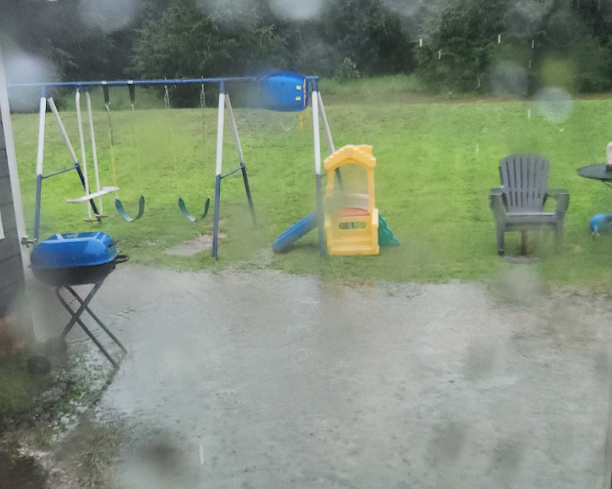 Just Add Sunshine and Water