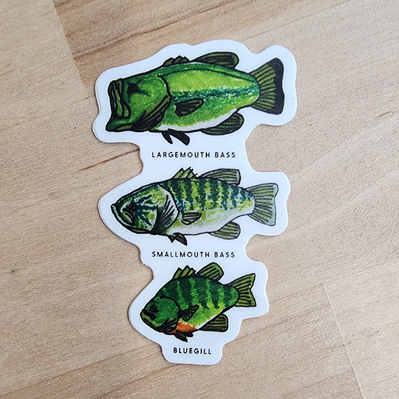 LMSS® STICKER - Bass & Bluegill Chart (Hand Drawn)