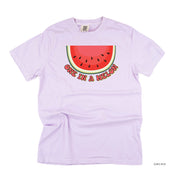 One in a Melon - Comfort Colors Tee Little Mama Shirt Shop