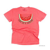 One in a Melon - Comfort Colors Tee Little Mama Shirt Shop