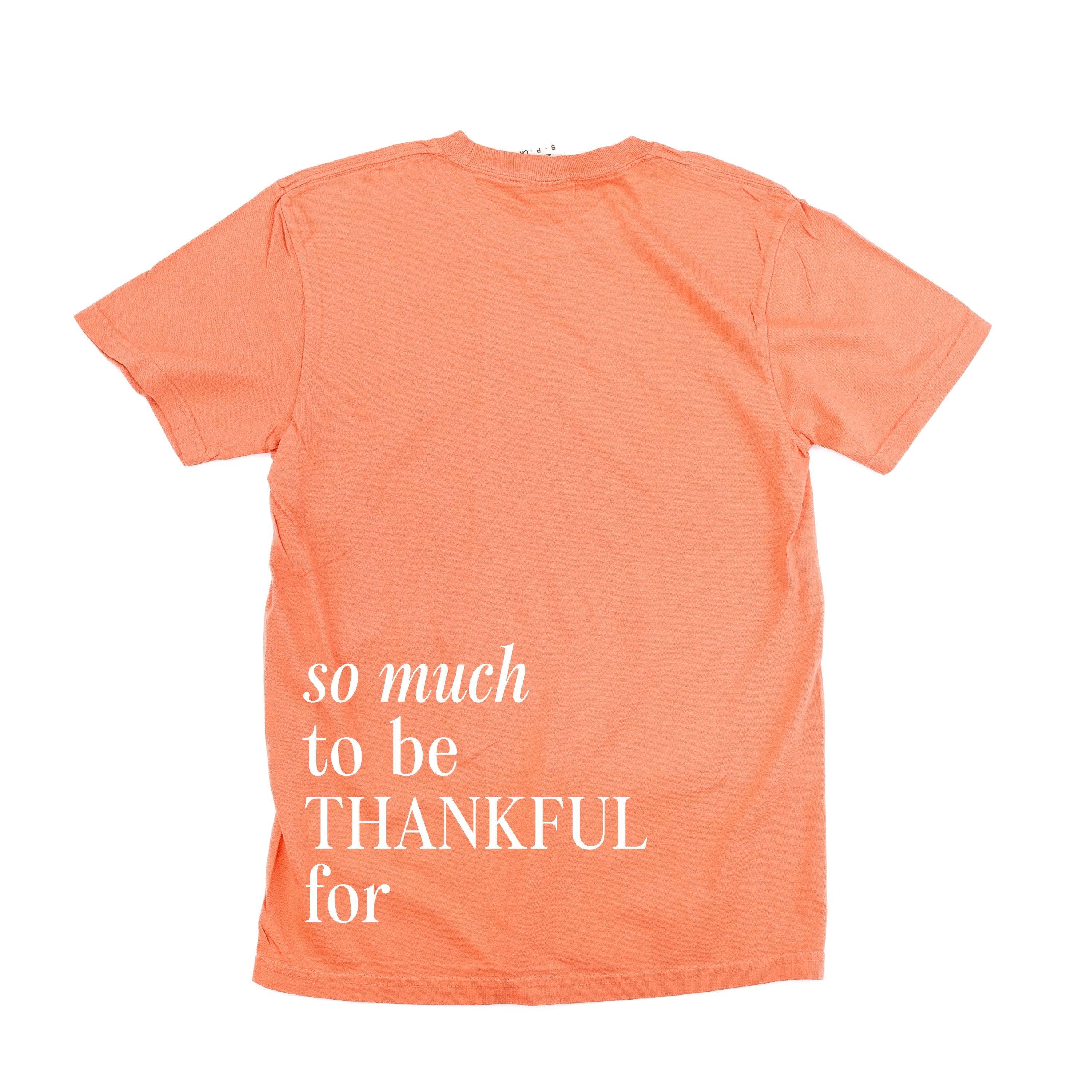 Embroidered Tone on Tone Comfort Colors Tee -  THANKFUL embroidered front with printed SO MUCH TO BE THANKFUL FOR back Little Mama Shirt Shop LLC