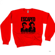 ESCAPED - Be On The Lookout - BASIC Fleece Little Mama Shirt Shop LLC