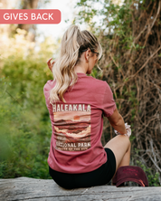 Haleakala National Park - Weekly Wander #10 - Comfort Colors Tee Little Mama Shirt Shop LLC