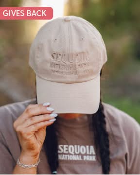 Sequoia National Park - Weekly Wander #7 - '47 Hat Little Mama Shirt Shop