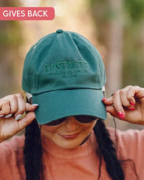 Yosemite National Park - Weekly Wander #8 - '47 Hat Little Mama Shirt Shop