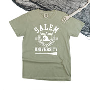 Salem University - Comfort Colors Tee Little Mama Shirt Shop