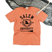 Salem University - Comfort Colors Tee Little Mama Shirt Shop