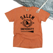 Salem University - Comfort Colors Tee Little Mama Shirt Shop