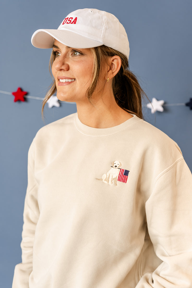 Embroidered Pigment Crewneck Sweatshirt - Patriotic Pup