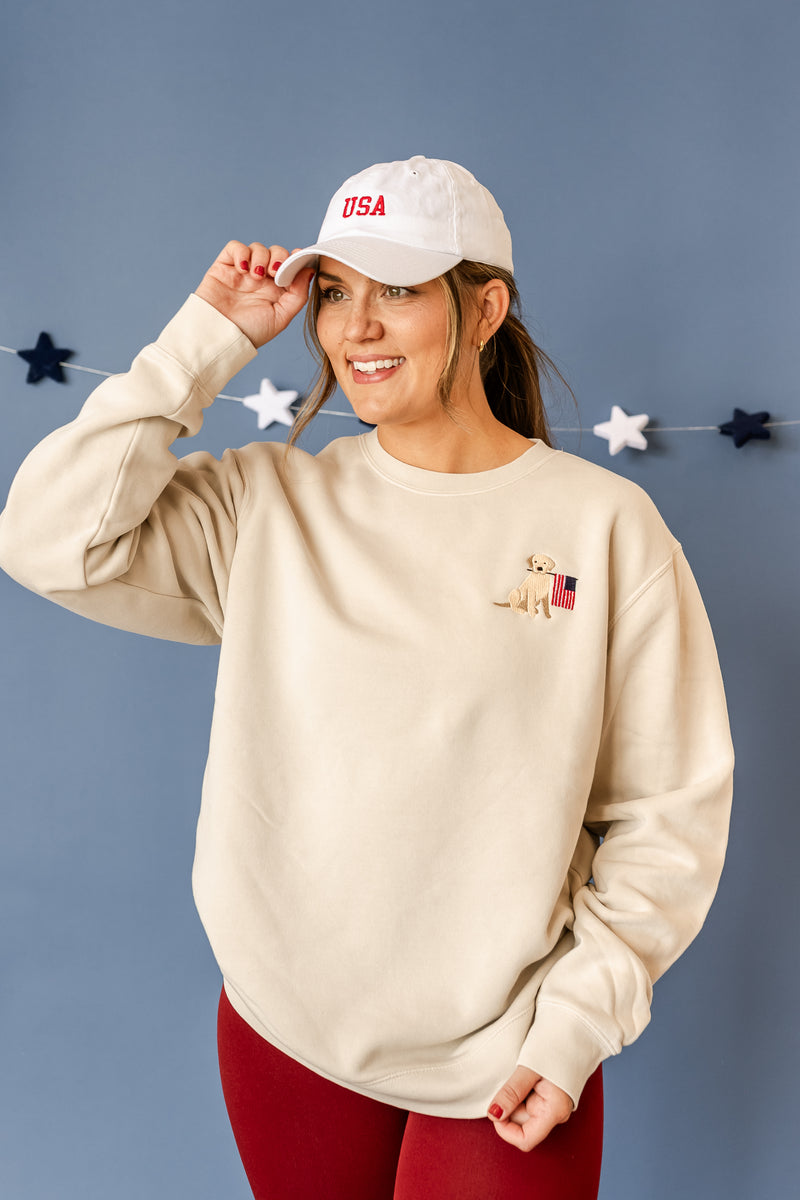 Embroidered Pigment Crewneck Sweatshirt - Patriotic Pup