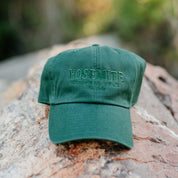 Yosemite National Park - Weekly Wander #8 - '47 Hat Little Mama Shirt Shop