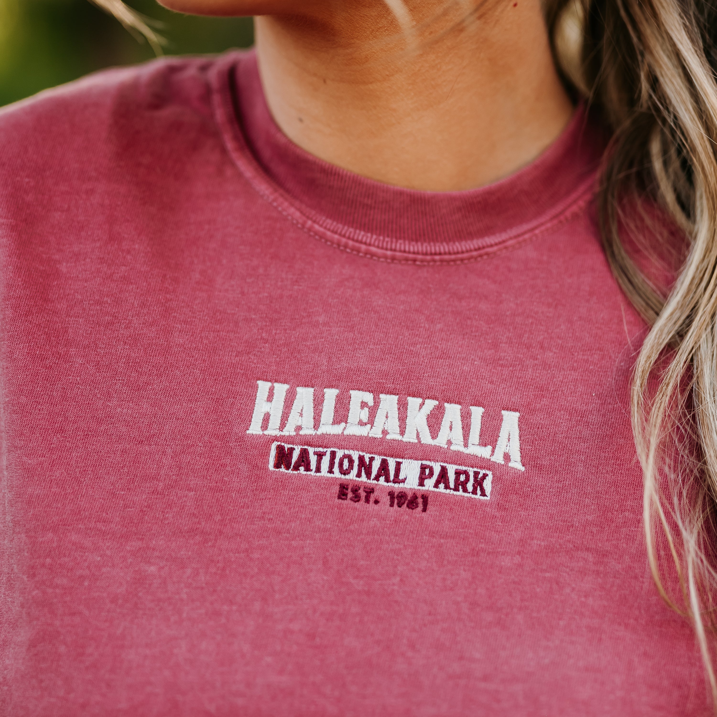 Haleakala National Park - Weekly Wander #10 - Comfort Colors Tee Little Mama Shirt Shop LLC