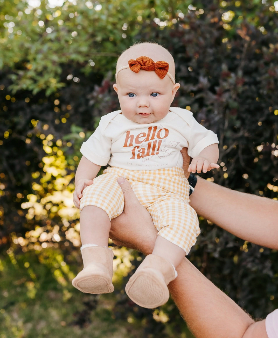 Hello Fall! - Set of 2 Tees - Adult Comfort Colors Short Sleeve + Coordinating Child Tee Little Mama Shirt Shop