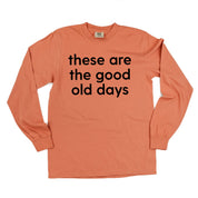 These Are The Good Old Days - Design on Front - LONG SLEEVE COMFORT COLORS TEE Little Mama Shirt Shop