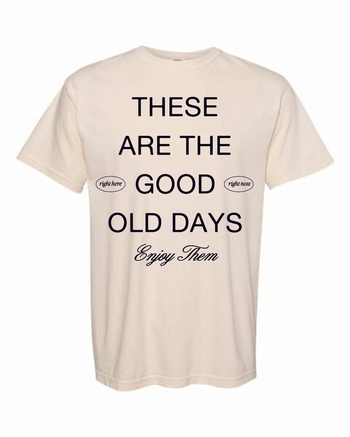 These Are The Good Old Days - Adult Comfort Colors Tee Little Mama Shirt Shop LLC