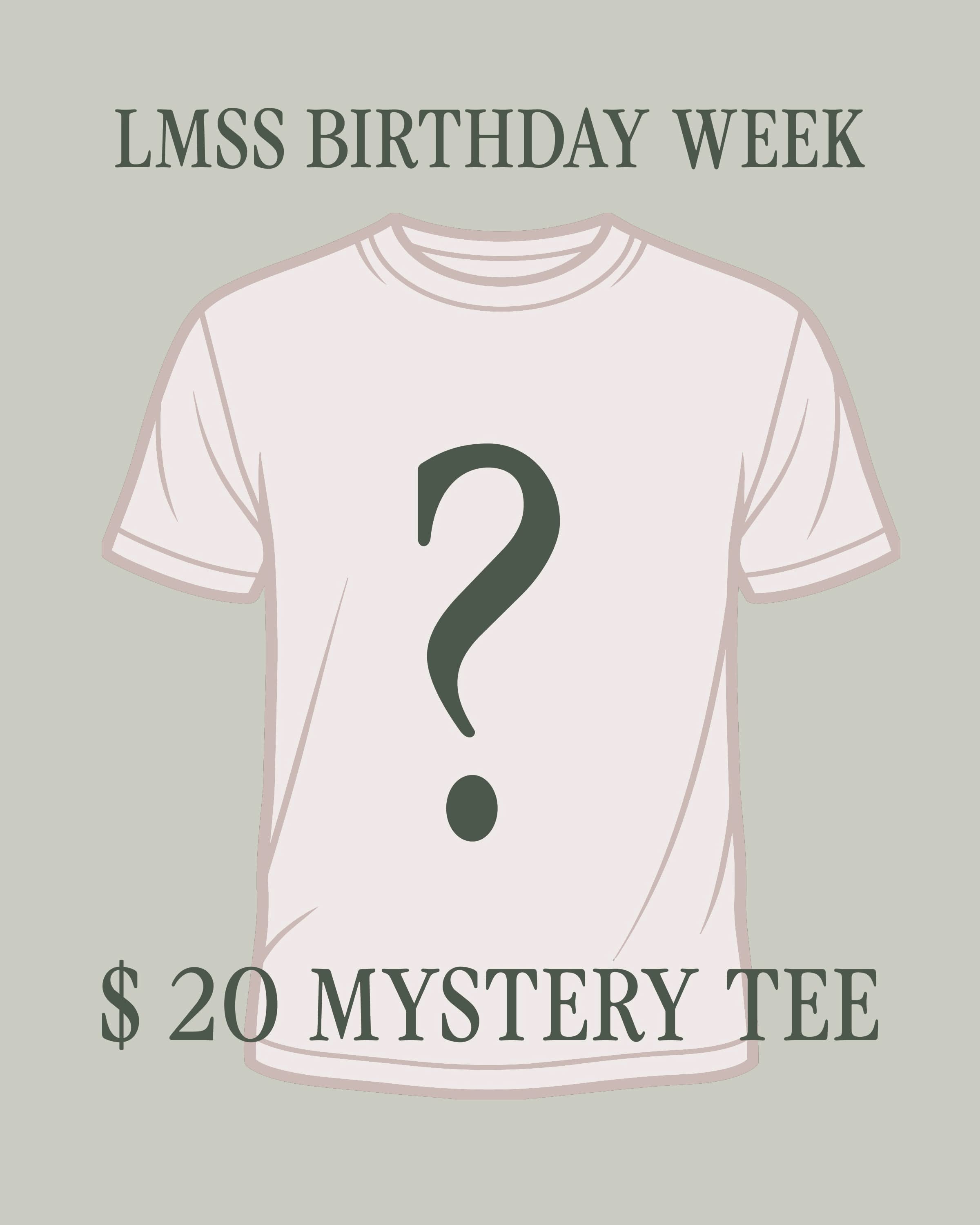 $20 Mystery Tee Little Mama Shirt Shop LLC