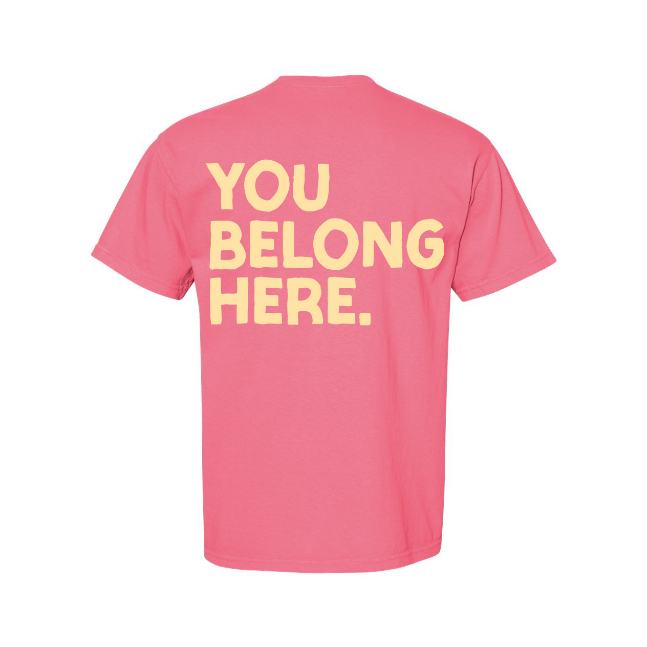You Belong Here - Smiley and Supplies (pf&b) - Comfort Colors Tee Little Mama Shirt Shop