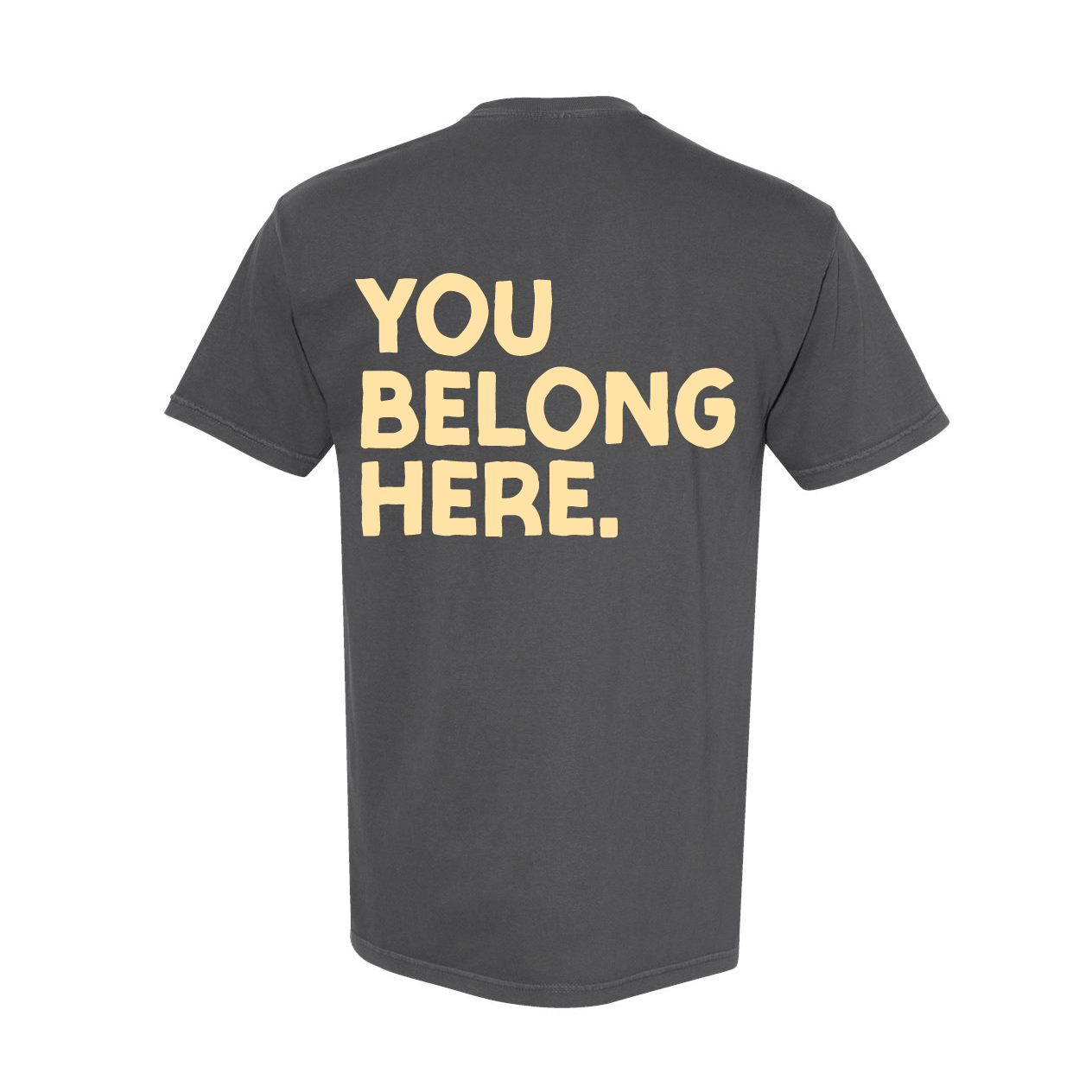 You Belong Here - Smiley and Supplies (pf&b) - Comfort Colors Tee Little Mama Shirt Shop