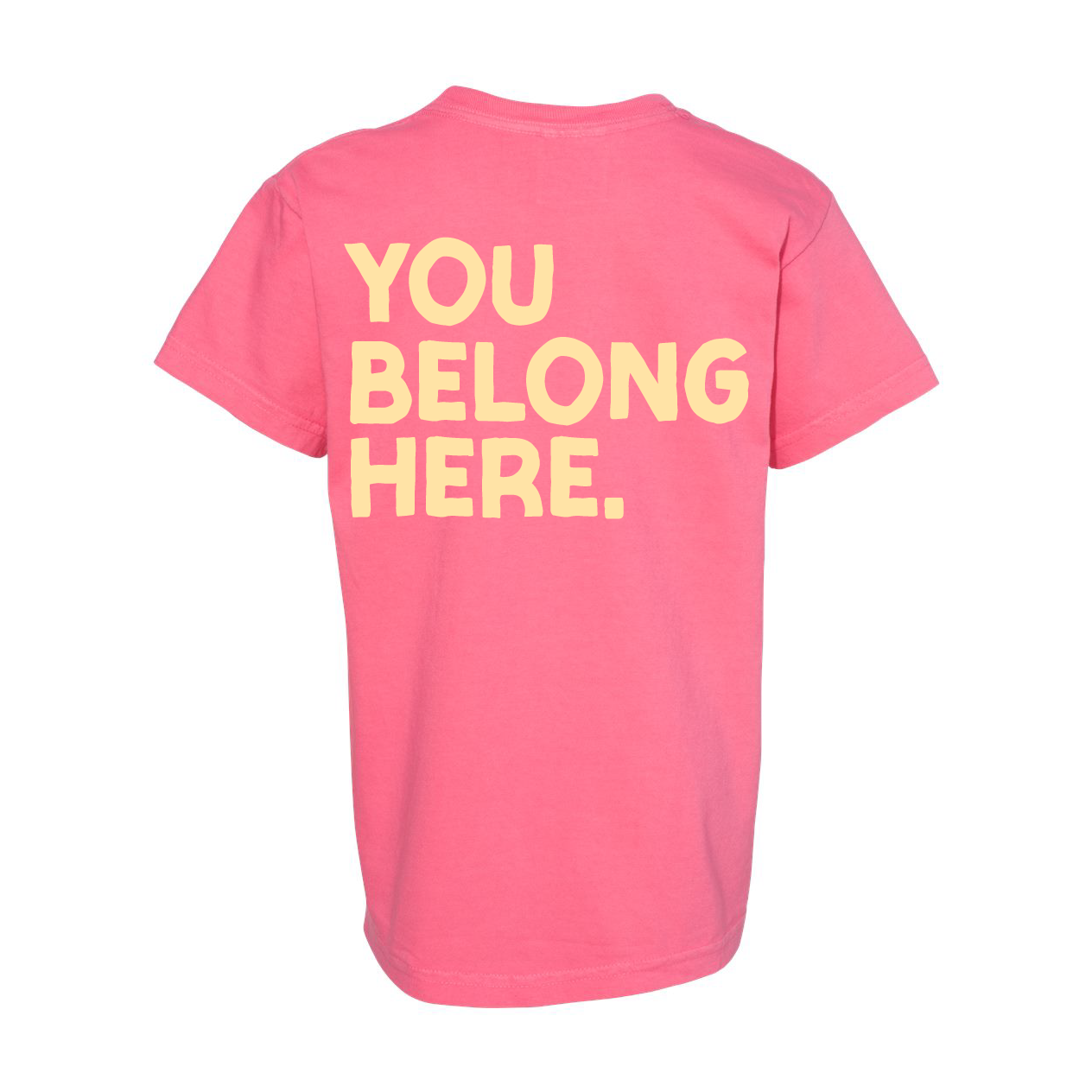 You Belong Here - Smiley and Supplies (pf&b) - YOUTH Comfort Colors Tee Little Mama Shirt Shop