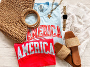 Red and blue AMERICA shirts with gingham print, displayed side by side with sandals, a woven, bag, and watch for a fun patriotic outfit idea