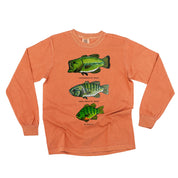 Bass And Bluegill Chart (Hand Drawn) -  LONG SLEEVE Comfort Colors Tee Little Mama Shirt Shop