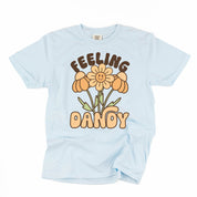 Feeling Dandy - SHORT SLEEVE COMFORT COLORS TEE Little Mama Shirt Shop