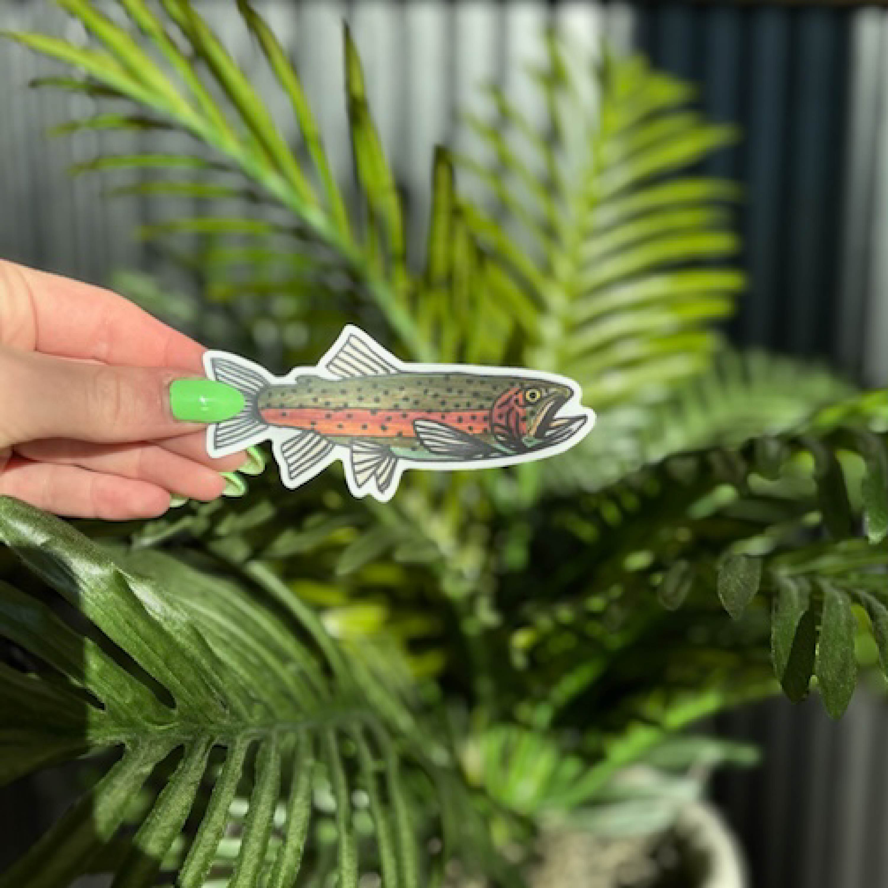 LMSS® STICKER - Rainbow Trout Little Mama Shirt Shop LLC