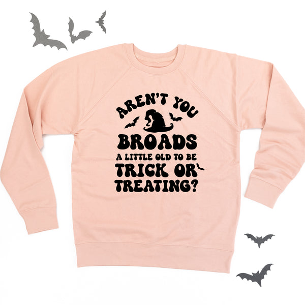 Aren't You Broads a Little Old to be Trick or Treating? - Lightweight Pullover Sweater
