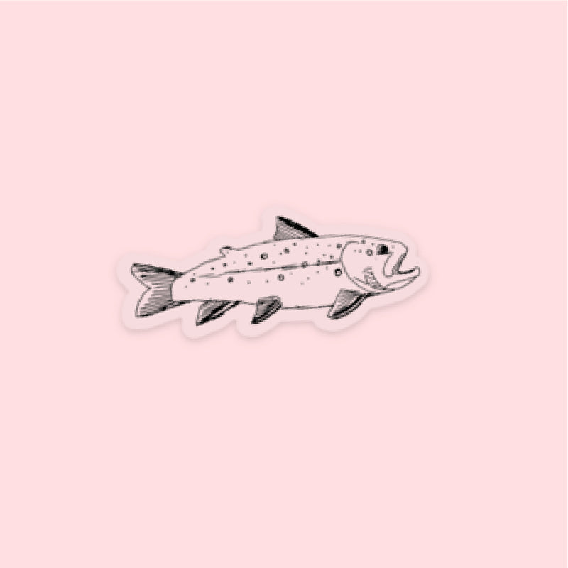 LMSS® STICKER - BROOK TROUT (PAX'S DRAWING) - CLEAR BACKGROUND