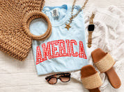 Light Blue with red gingham AMERICA graphic tee, red white and blue patriotic shirt, vintage inspired 4th of July outfit, casual summer mom style