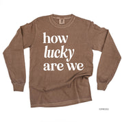 How Lucky Are We - Long Sleeve Comfort Colors Tee Little Mama Shirt Shop