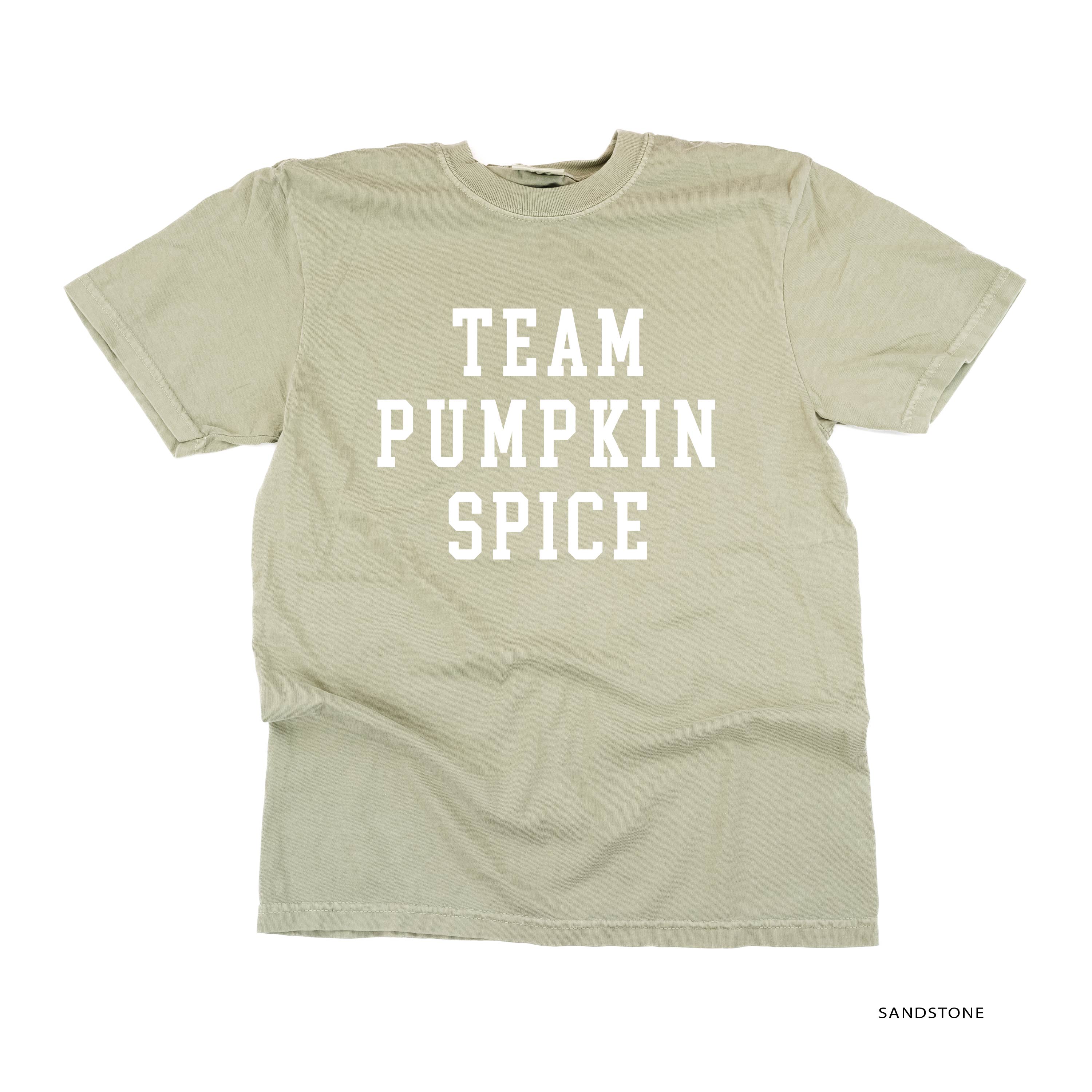 Team Pumpkin Spice - Comfort Colors Tee Little Mama Shirt Shop