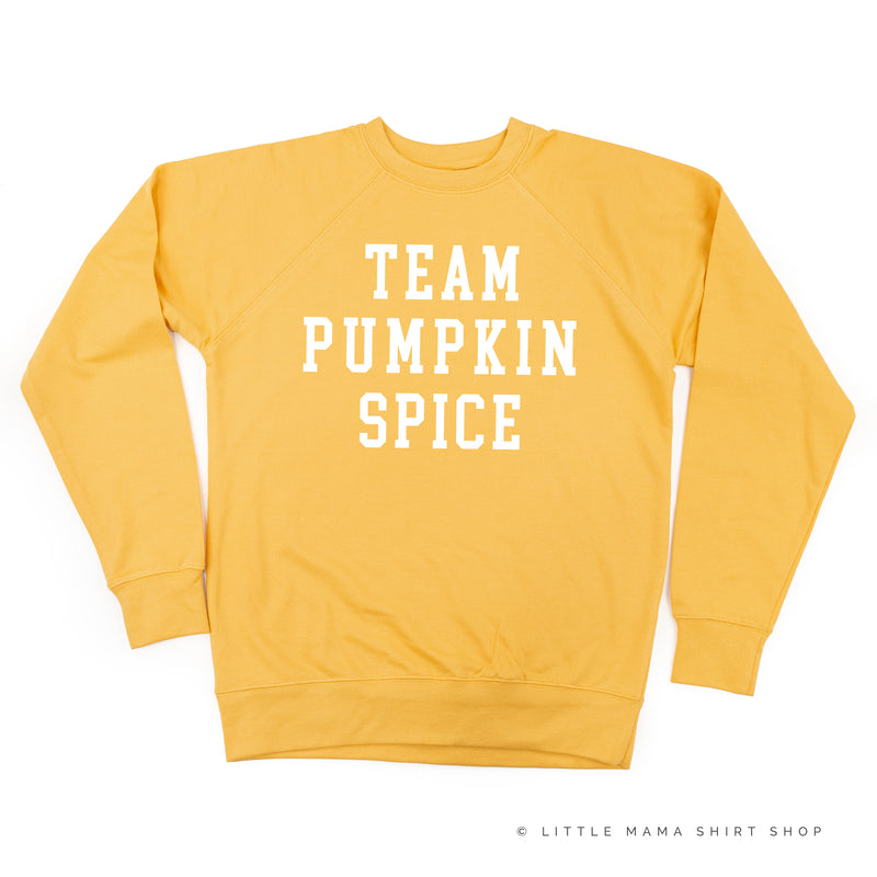 TEAM PUMPKIN SPICE - Lightweight Pullover Sweater